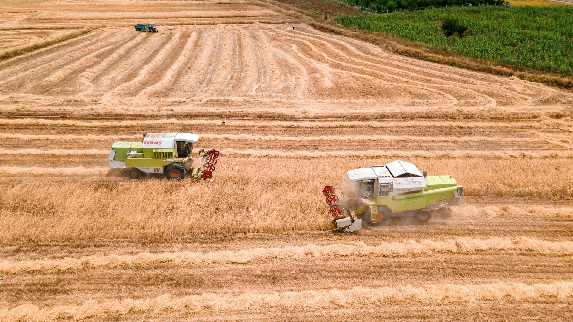 Agro-Industrie & Agroalimentaire